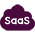 SaaS Development