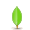 Mongo DB