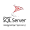 SQL Server Integration Services