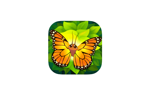 Flutter: Butterfly Sanctuary