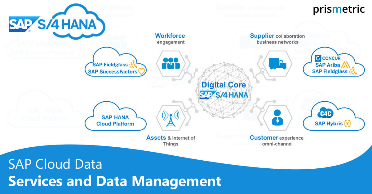 SAP Cloud Data Services and Data Management