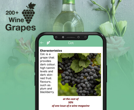 200+-Wine-Grapes