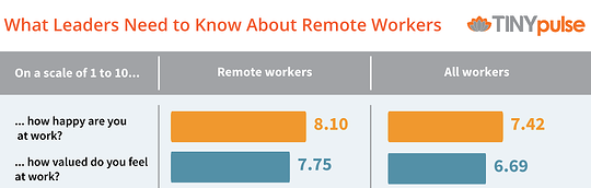 Aspects of Remote Employees