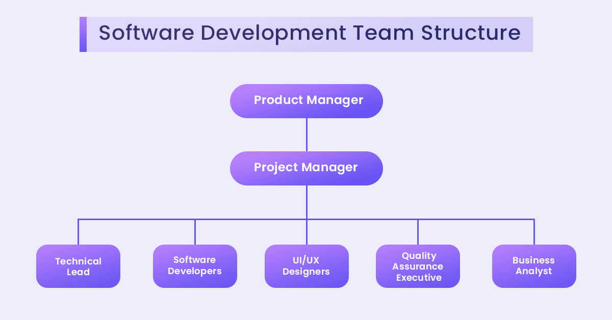 How to Build a Software Development Team and Set Efficient Team