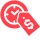 Time and cost efficient