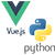 Vue.js with Python