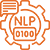 NLP Model Development