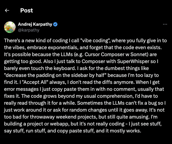 Andrej Karpathy About Vibe Coding