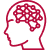 Deep Knowledge of Neural Networks
