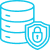 Data Security and Protection