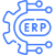 ERP Platforms